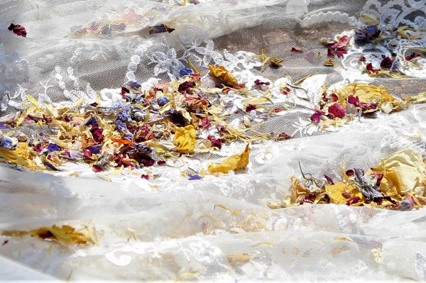 'Confetti' by Tessa Phillips, Potters Bar u3a